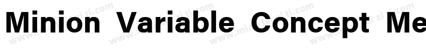 Minion Variable Concept Medium字体转换